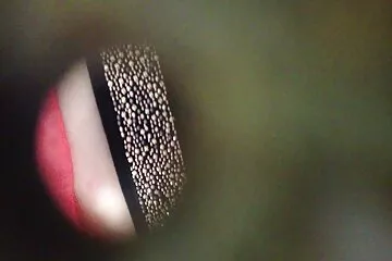 जूलिया ऐन पिछवाड़े में उसके बेटे हिंदी सेक्सी फिल्म मूवी कमबख्त